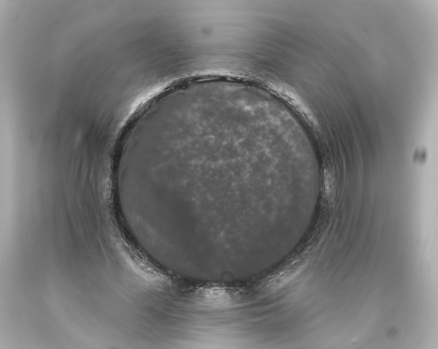 X0000093580588200711051119