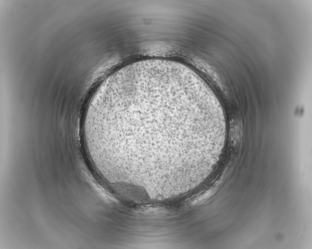 X0000093580589200711051119