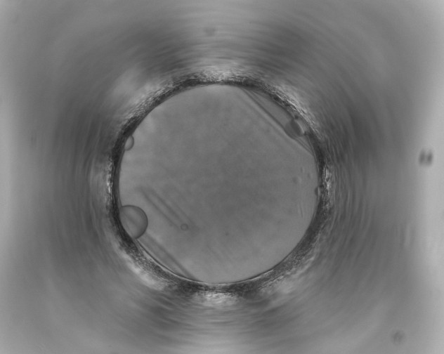 X0000093580590200711051119