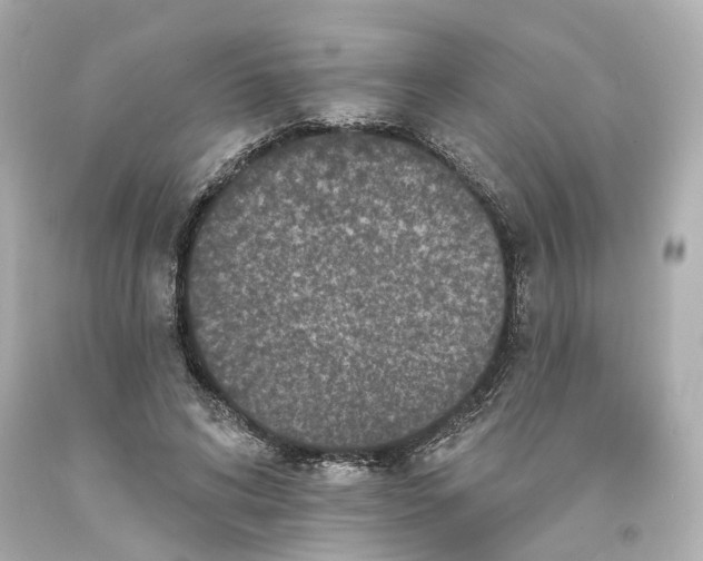 X0000093580592200711051119