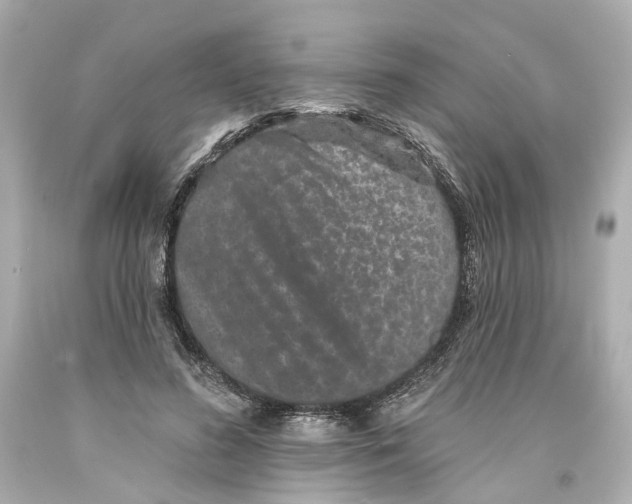 X0000093580596200711051119