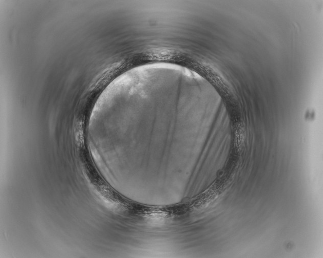 X0000093580598200711051119