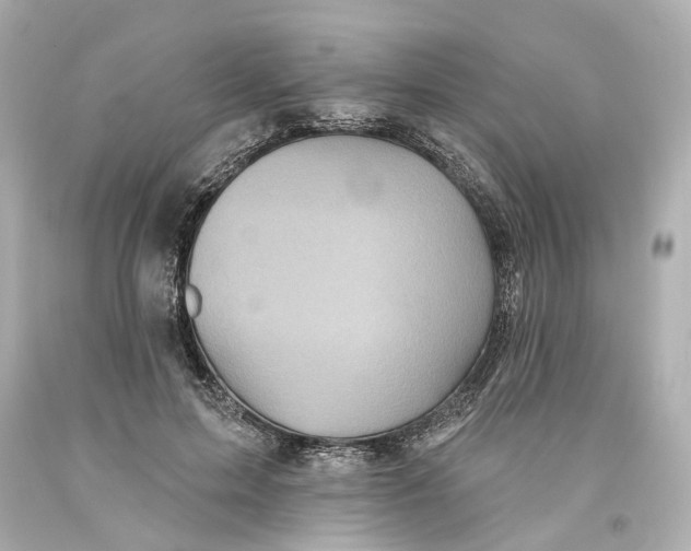 X0000093580599200711051119