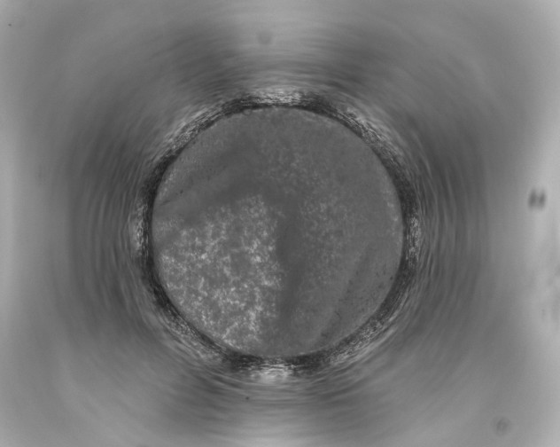 X0000093580600200711051119