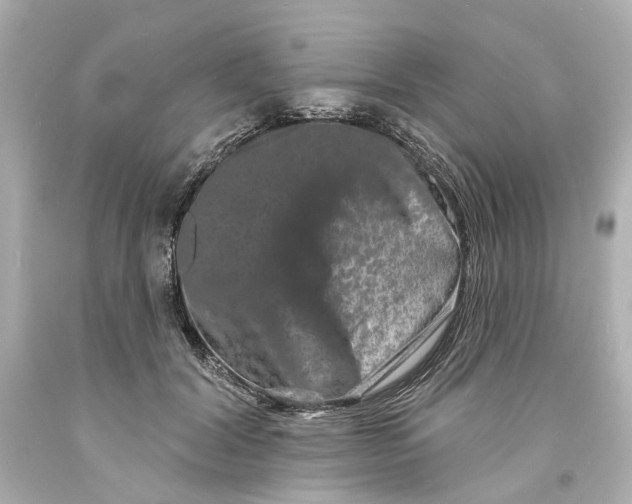 X0000093580604200711051119