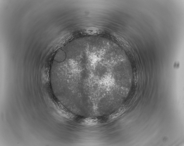 X0000093580606200711051119