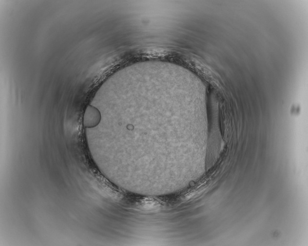 X0000093580608200711051119