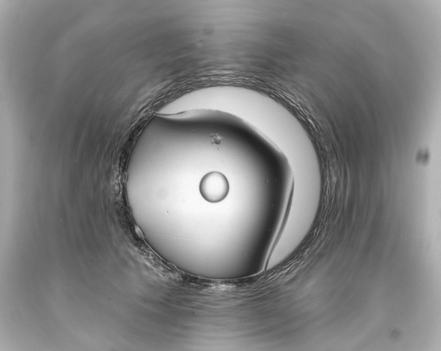 X0000093580609200711051119