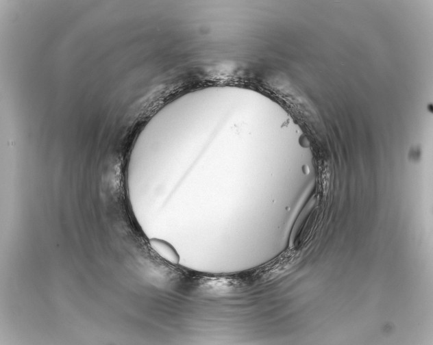 X0000093580611200711051119