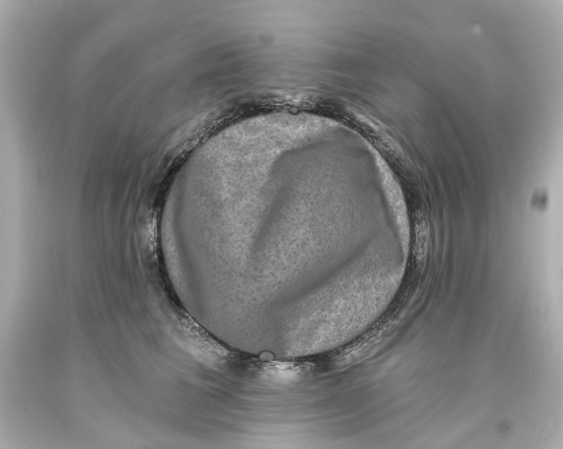 X0000093580613200711051119