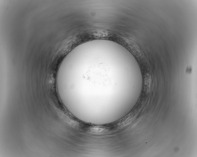 X0000093580614200711051119