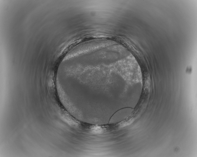 X0000093580616200711051119