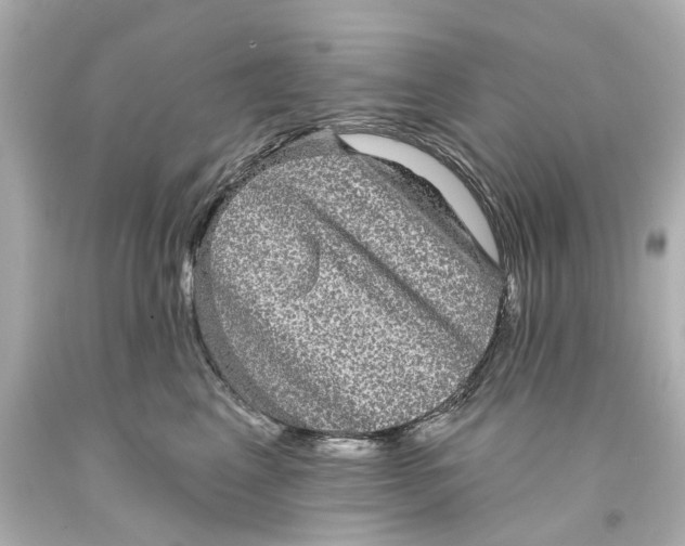 X0000093580617200711051119