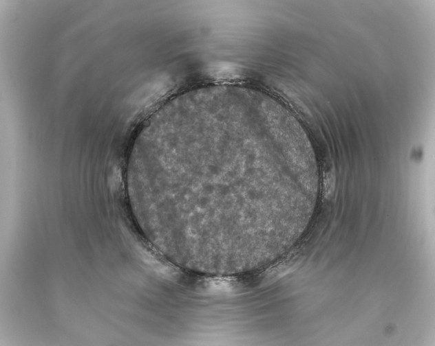 X0000093580618200711051119