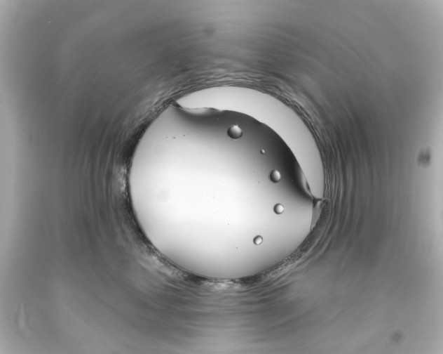 X0000093580621200711051119