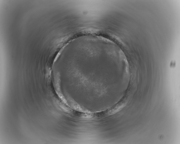 X0000093580624200711051119