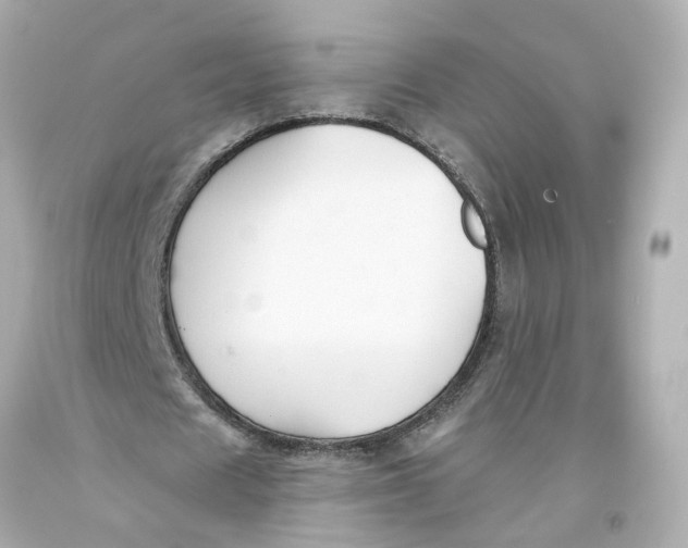 X0000093580625200711051118