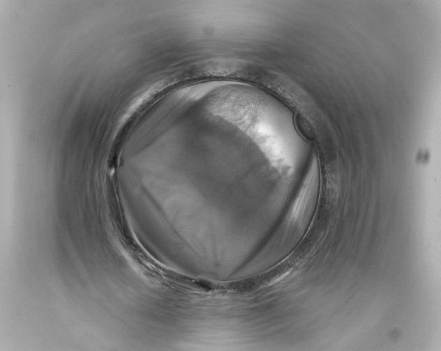 X0000093580626200711051118