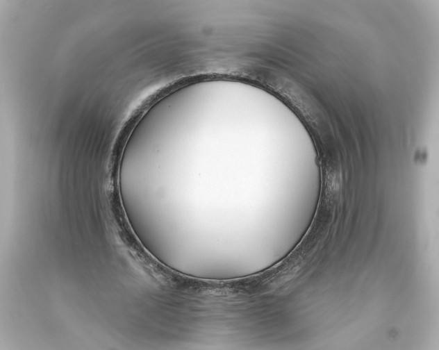 X0000093580628200711051118