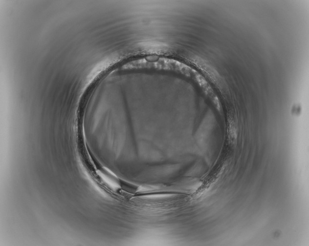 X0000093580630200711051118