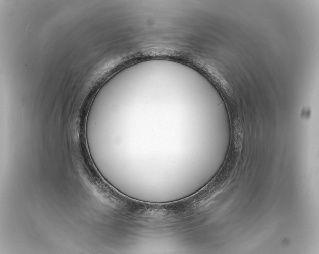 X0000093580631200711051118