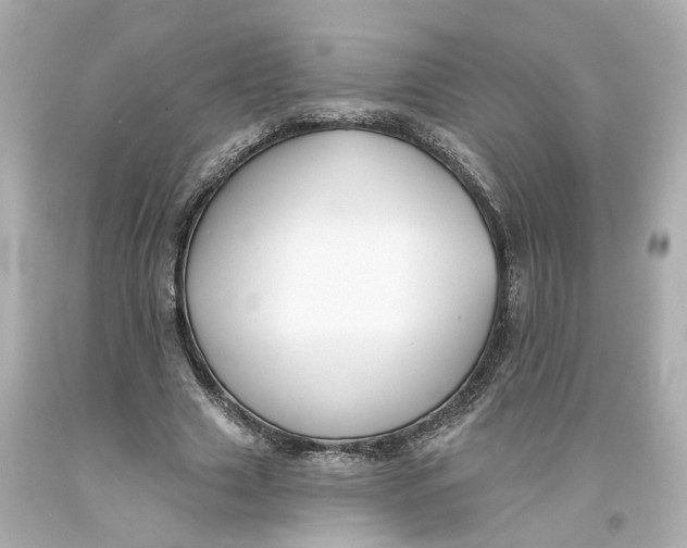 X0000093580633200711051118