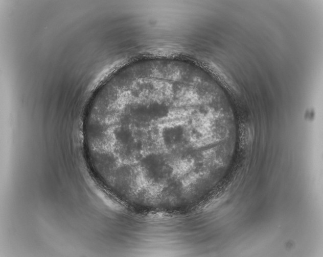 X0000093580634200711051118