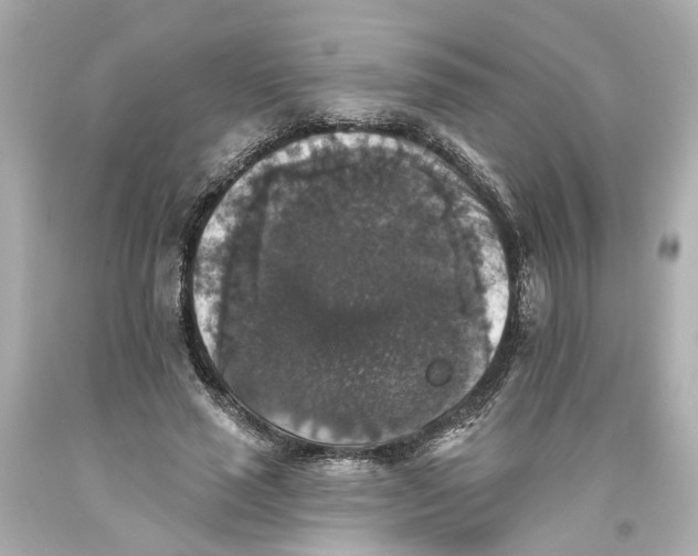 X0000093580637200711051118