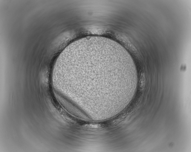 X0000093580639200711051118