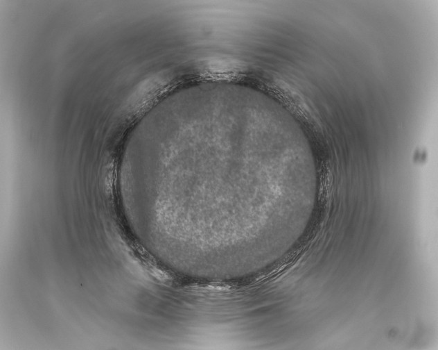 X0000093580647200711051118