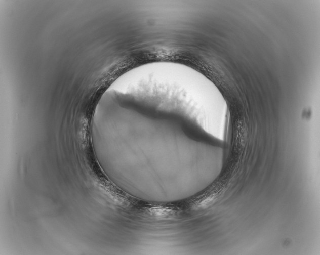 X0000093580650200711051118