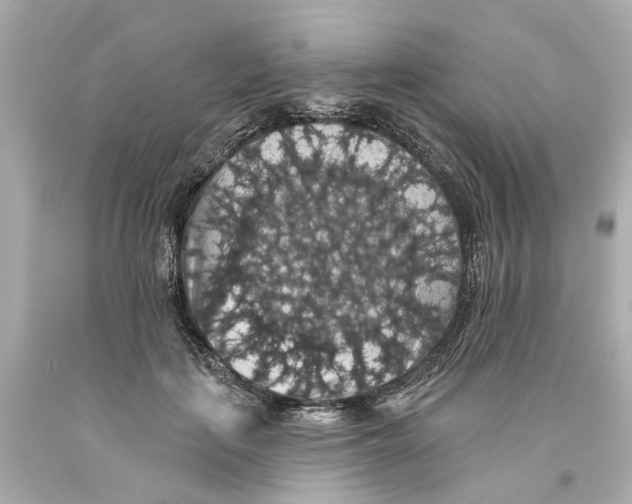 X0000093580651200711051119