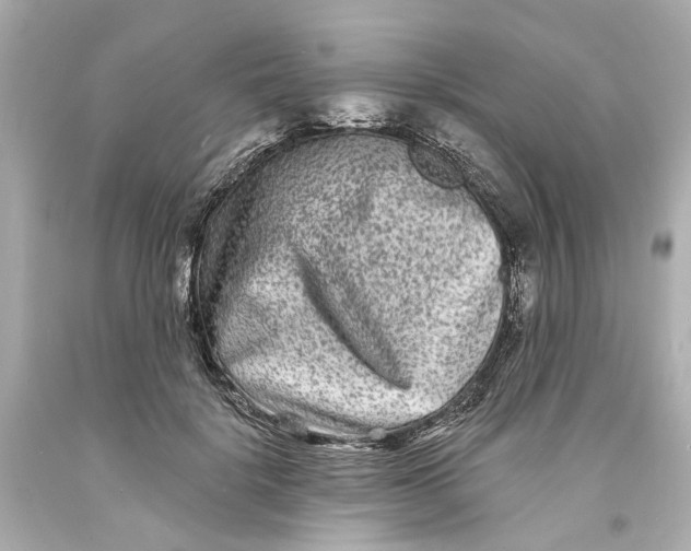 X0000093580652200711051119