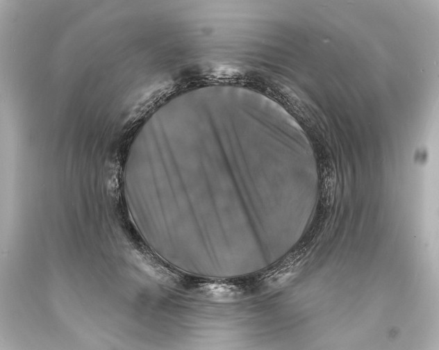 X0000093580654200711051119