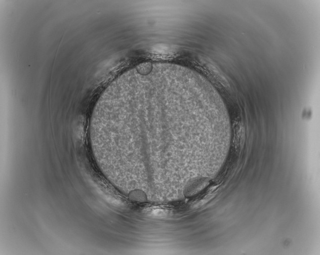 X0000093580655200711051119