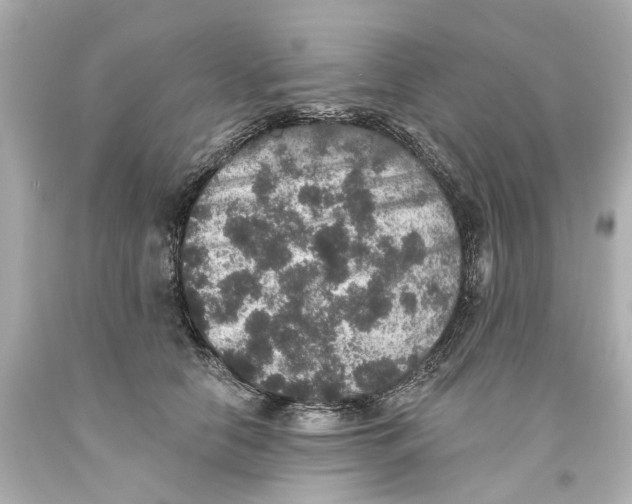 X0000093580658200711051119