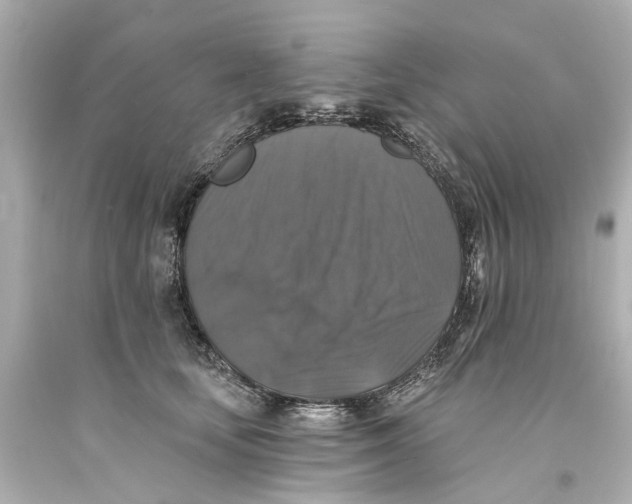 X0000093580659200711051119