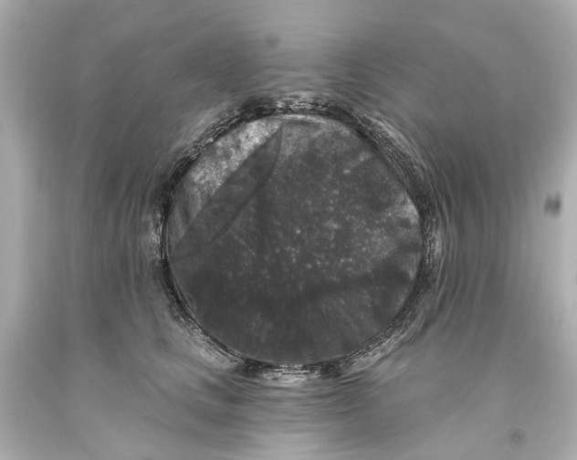 X0000093580661200711051119