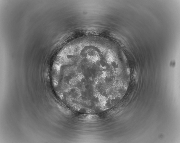 X0000093580663200711051119