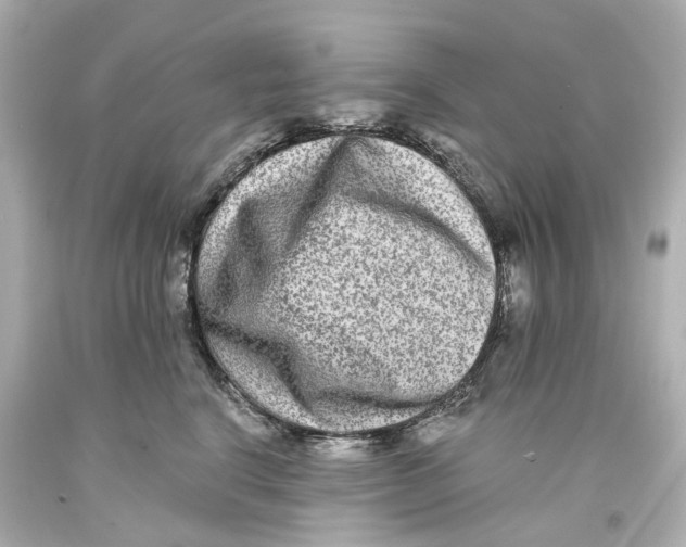 X0000093580664200711051119