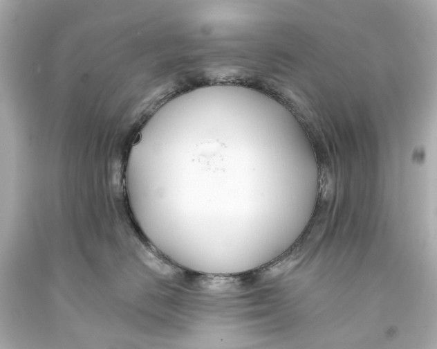 X0000093580670200711051119