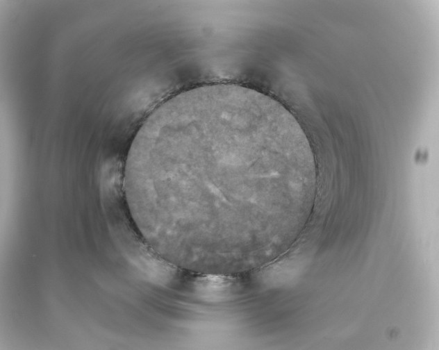 X0000093580672200711051119