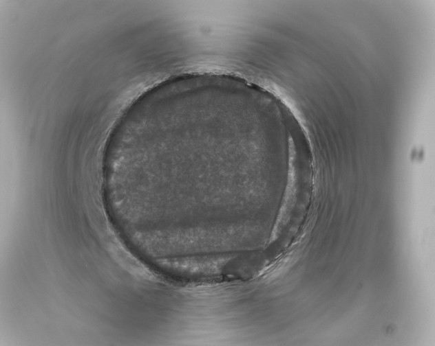 X0000093580673200711051118