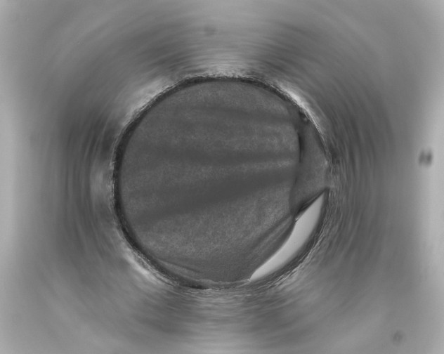 X0000093580677200711051118