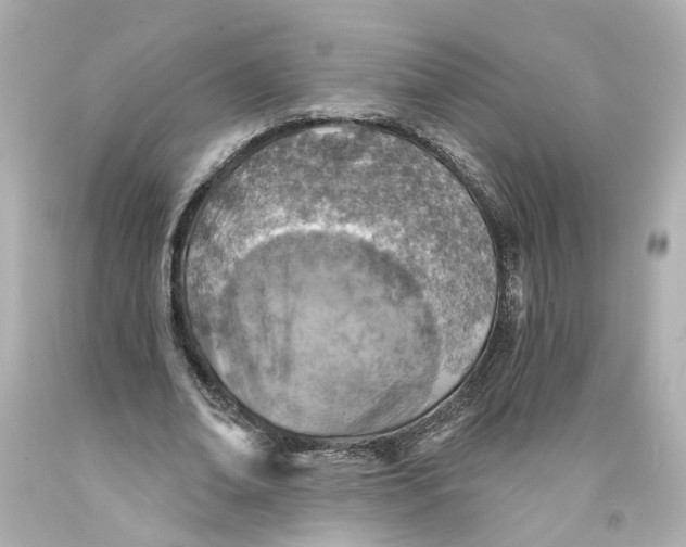 X0000093580678200711051118