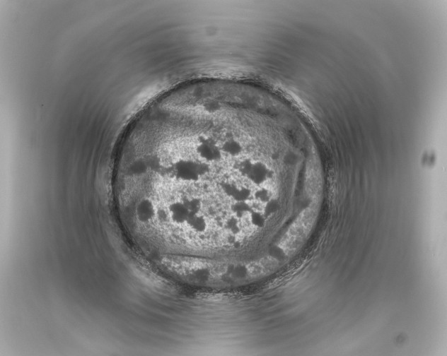 X0000093580679200711051118