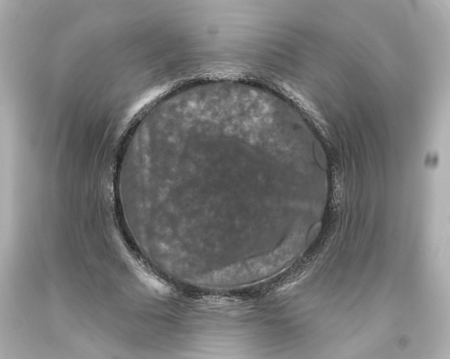 X0000093580681200711051118