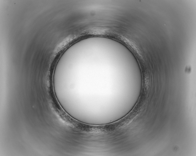 X0000093580682200711051118