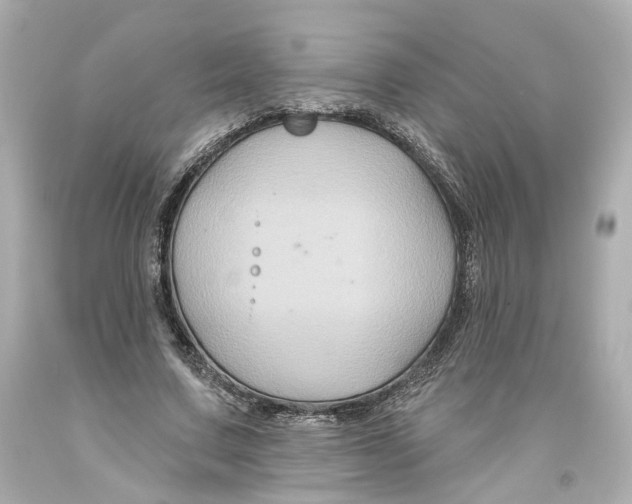 X0000093580683200711051118