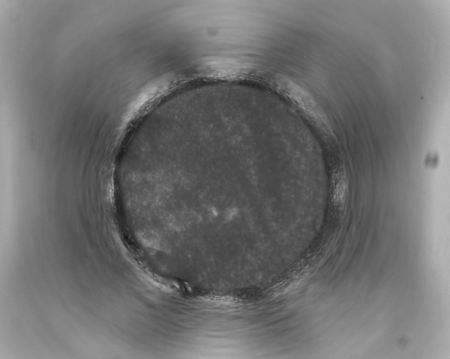 X0000093580685200711051118